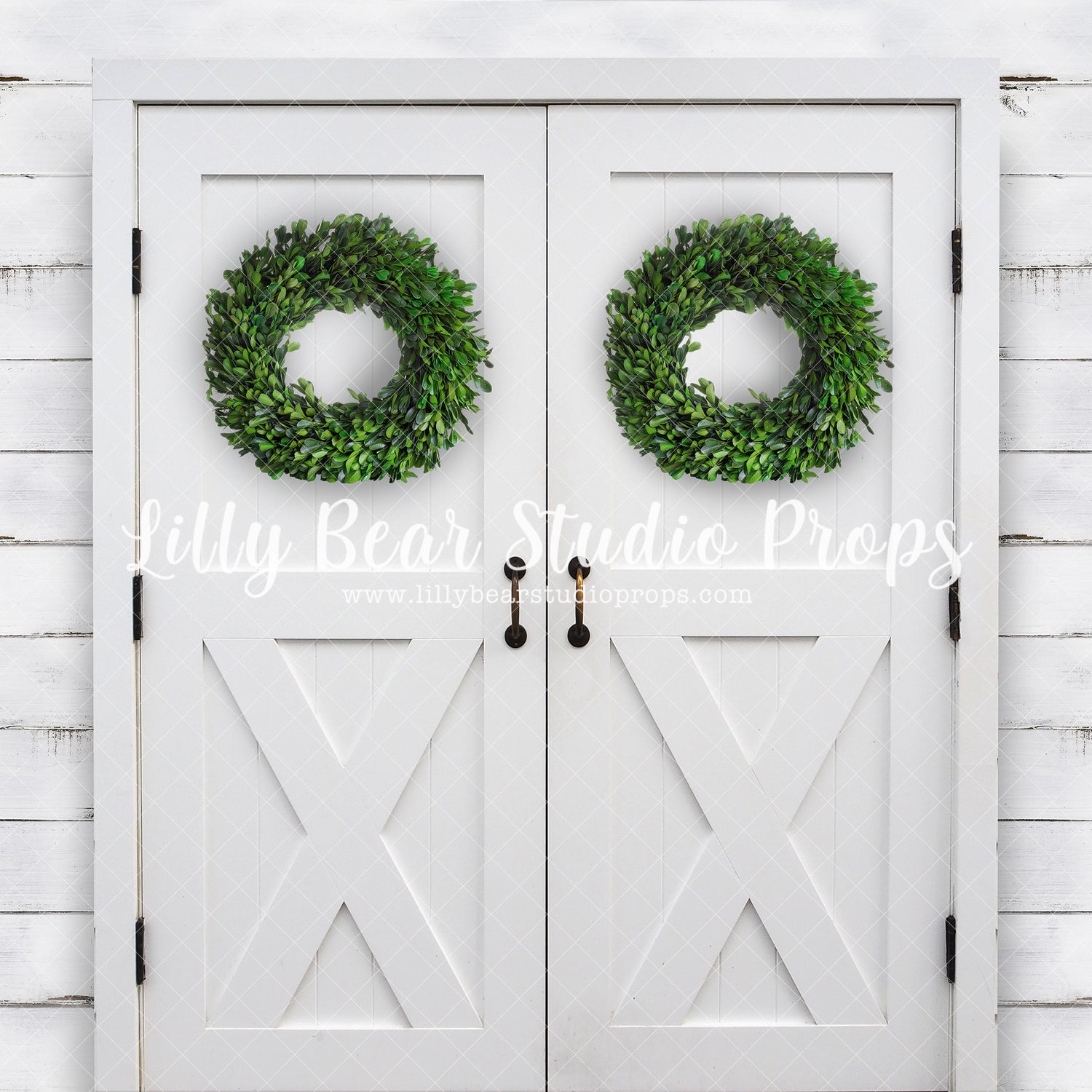 Springtime Doors