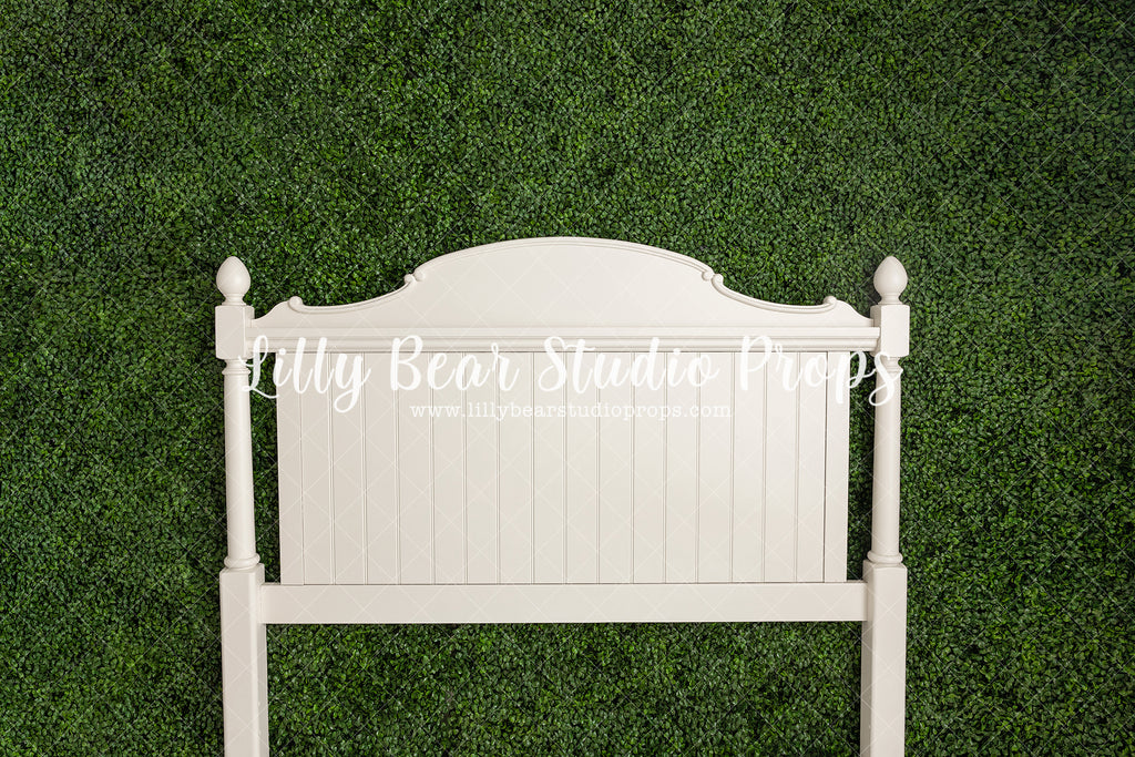 Springtime Headboard - Lilly Bear Studio Props, bed, bed time, boho bed, boxwood, boxwood wall, bush, FABRICS, floral, floral headboard, flowers, frame, garden, grass, green wall, greenery, headboard, pink rose, pink roses, purple roses, red rose, red roses, rose, roses, spring, valentine, valentines, valentines day, vintage headboard, white bed, white headboard, white roses, window