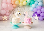 Star Crossed Rainbow by Meagan Paige Photography sold by Lilly Bear Studio Props, balloon arch - balloon garland - ball