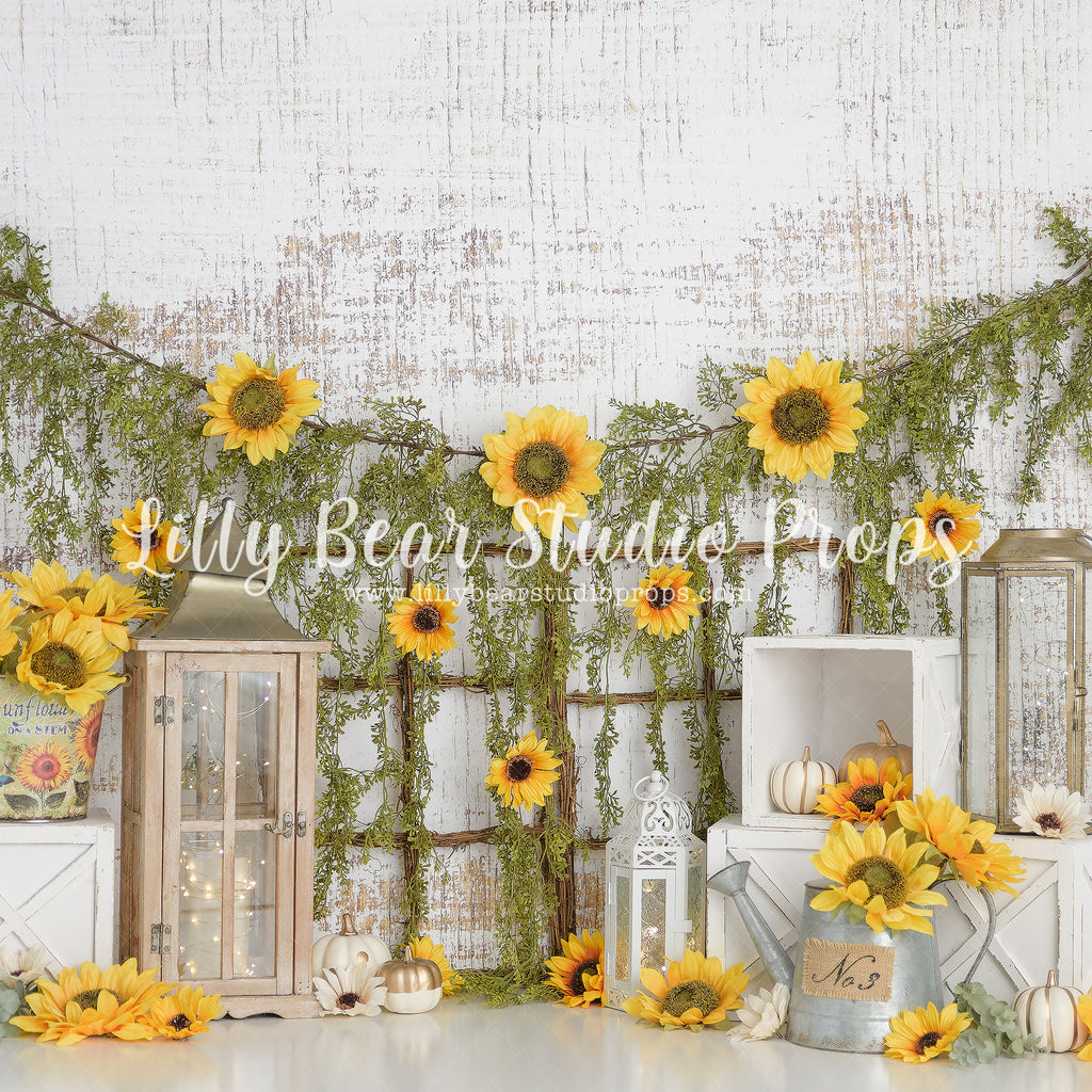 Sunflower Bloom by Sweet Memories Photos By Carolyn sold by Lilly Bear Studio Props, bloom - FABRICS - floral - garden