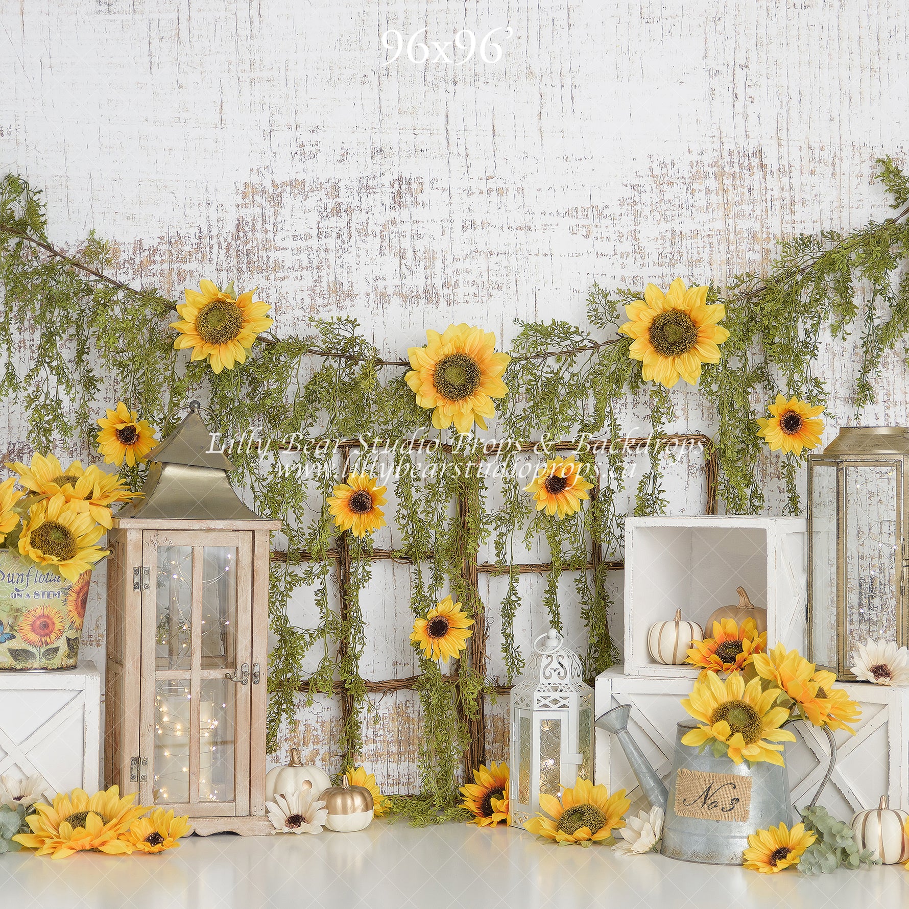 Sunflower Bloom by Sweet Memories Photos By Carolyn sold by Lilly Bear Studio Props, bloom - FABRICS - floral - garden