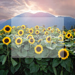 Sunflower Mountains by Santana Nicole Photography - Lilly Bear Studio Props, blooming flowers, FABRICS, flower cart, flower field, flower fields, flower garden, flower shop, flower stand, flowers, fresh flowers, girl, girl flowers, large flowers, little flower shop, pink flowers, purple flowers, spring flowers, summer flowers, sunflower, sunflower farm, sunflower field, sunflower garden, sunflowers, wild flower field, wild flowers
