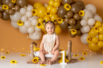 Sunflower Sanctuary - Lilly Bear Studio Props, balloon, balloon garland, boho teddy, Fabric, FABRICS, teddy, teddy balloons, teddy bear, teddy bear balloons, teddy bear love, teddy bear picnic, teddy bears, teddys