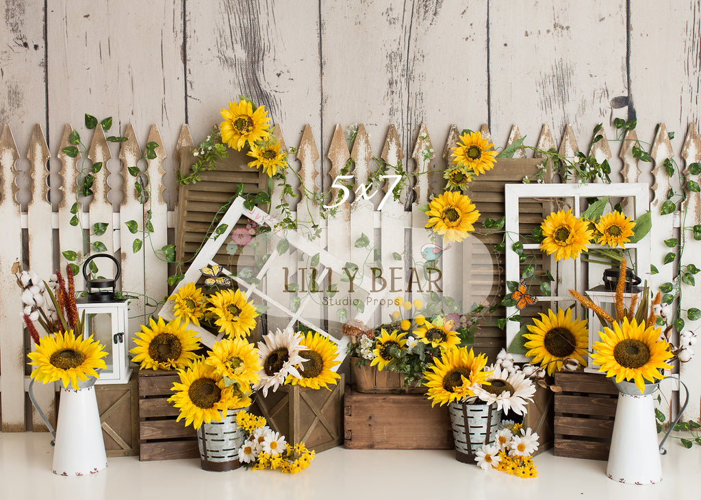 Sunflower Farm by Daniella Photography sold by Lilly Bear Studio Props, FABRICS - farm - fence - floral - lanterns - sp
