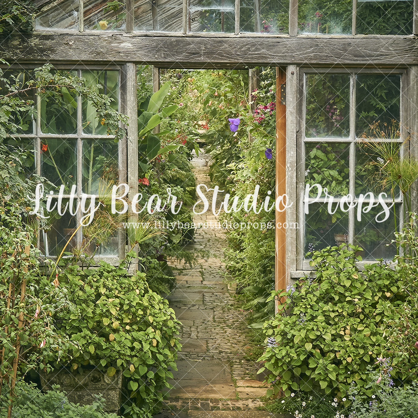 Sunhouse Path