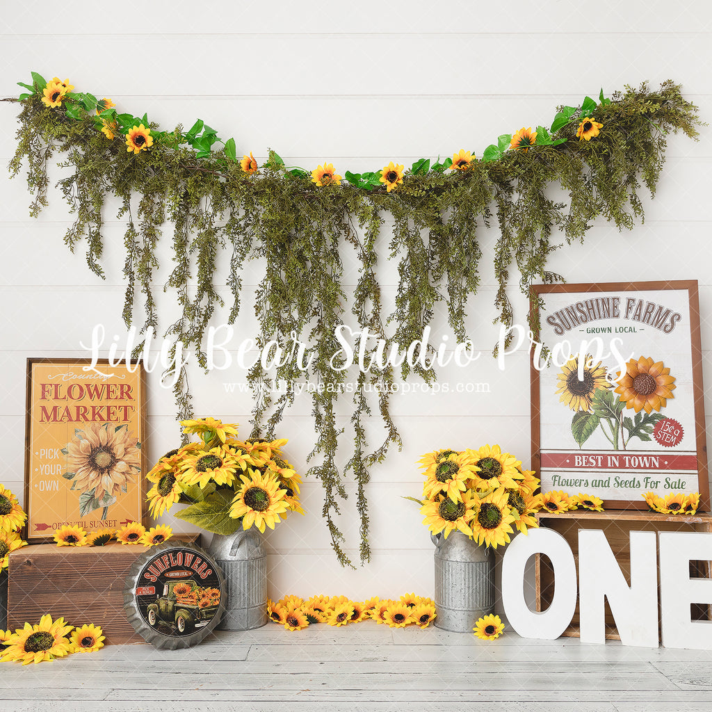 Sunshine Farms by Meagan Paige Photography sold by Lilly Bear Studio Props, FABRICS - farm - fence - floral - lanterns