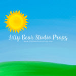 Sunshine Fields by Jessica Ruth Photography sold by Lilly Bear Studio Props, boys - cake smash - field - girls - smash