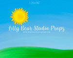 Sunshine Fields by Jessica Ruth Photography sold by Lilly Bear Studio Props, boys - cake smash - field - girls - smash