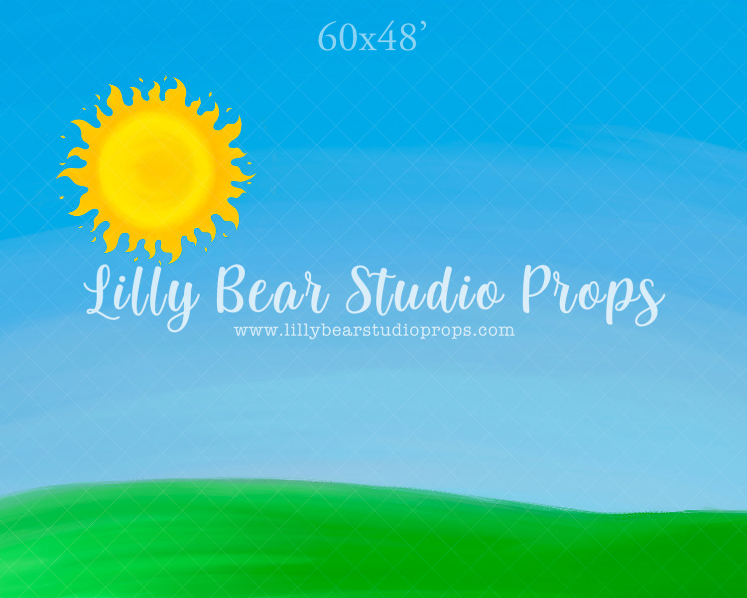 Sunshine Fields by Jessica Ruth Photography sold by Lilly Bear Studio Props, boys - cake smash - field - girls - smash