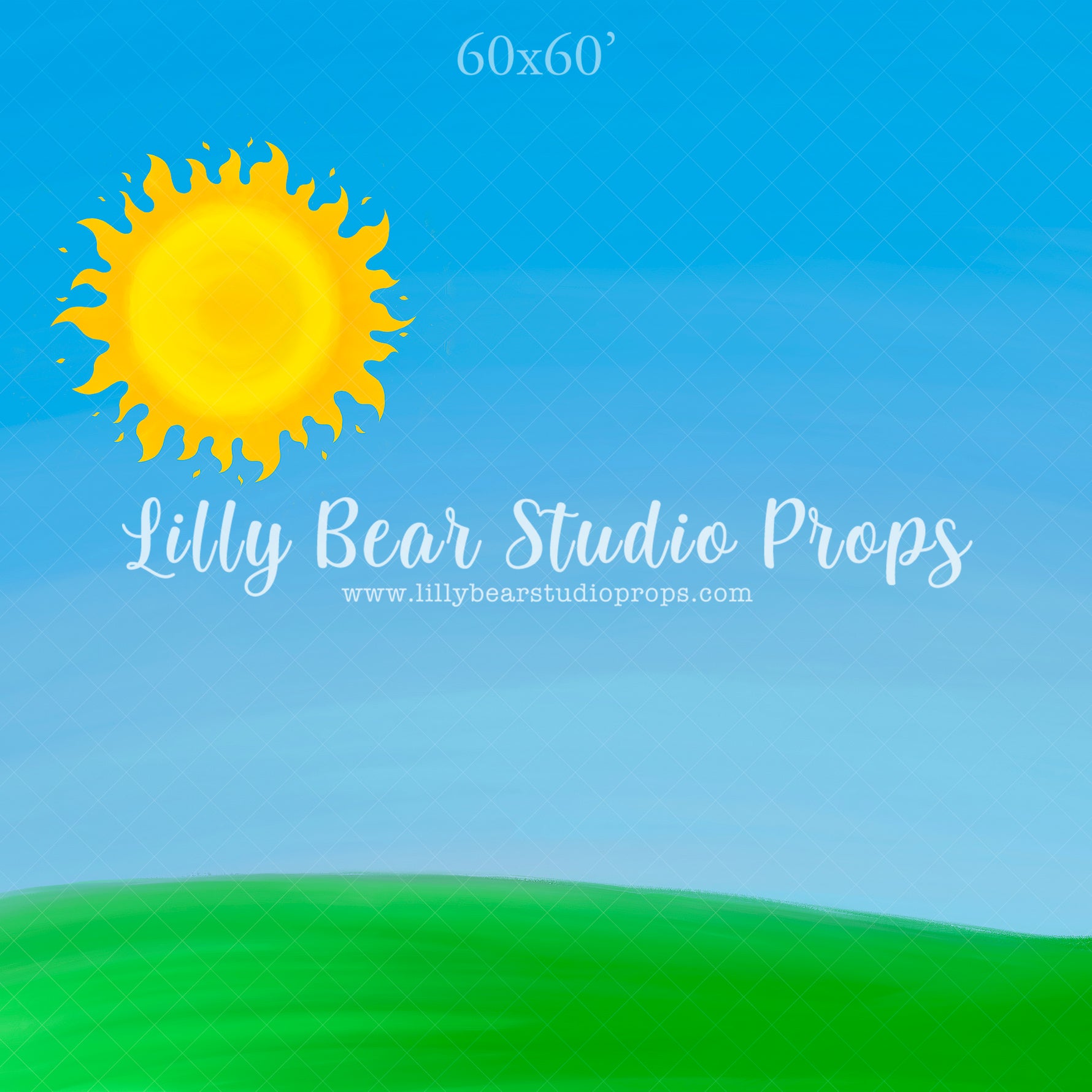 Sunshine Fields by Jessica Ruth Photography sold by Lilly Bear Studio Props, boys - cake smash - field - girls - smash