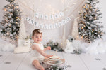 Winter ONEderland by Amber Costa Photography sold by Lilly Bear Studio Props, christmas - FABRICS - mantle - seasonal