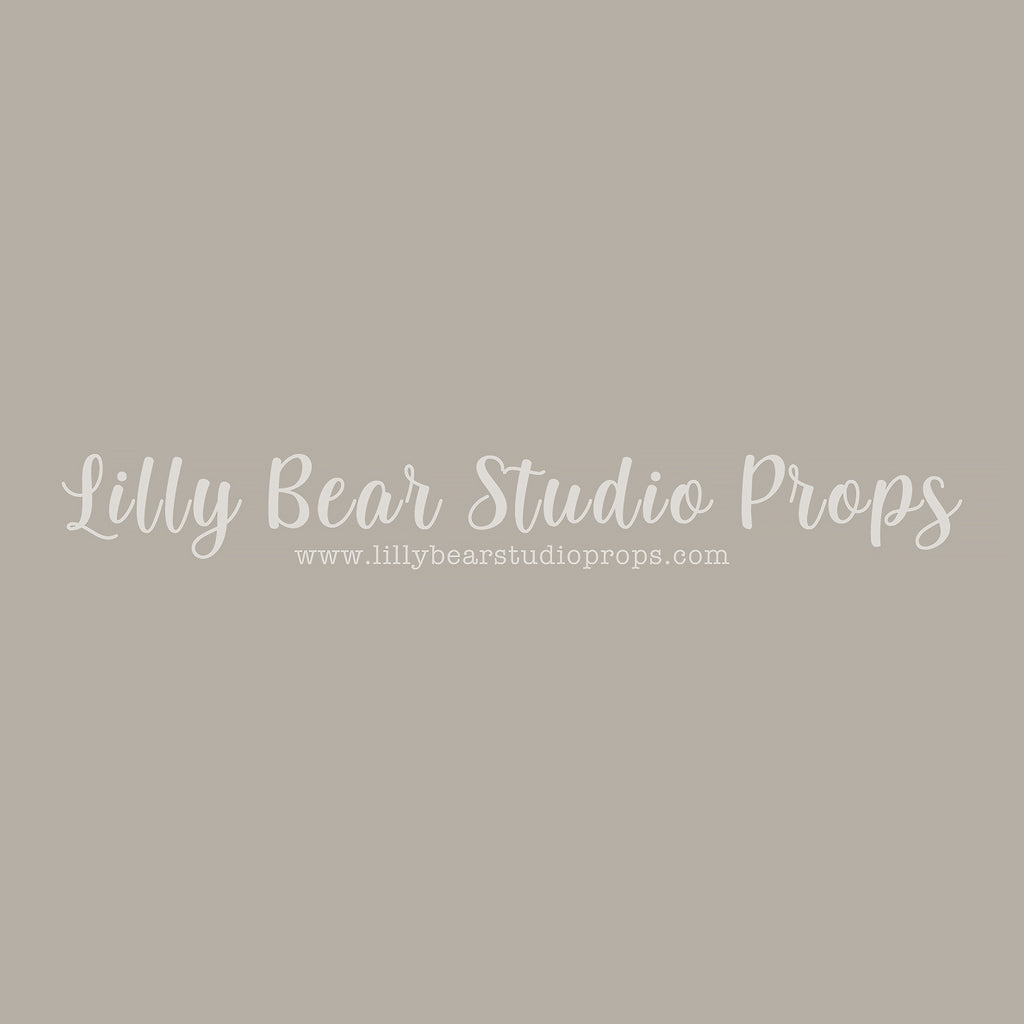 TV Grey by Lilly Bear Studio Props sold by Lilly Bear Studio Props, FABRICS - grey - savage - seamless paper