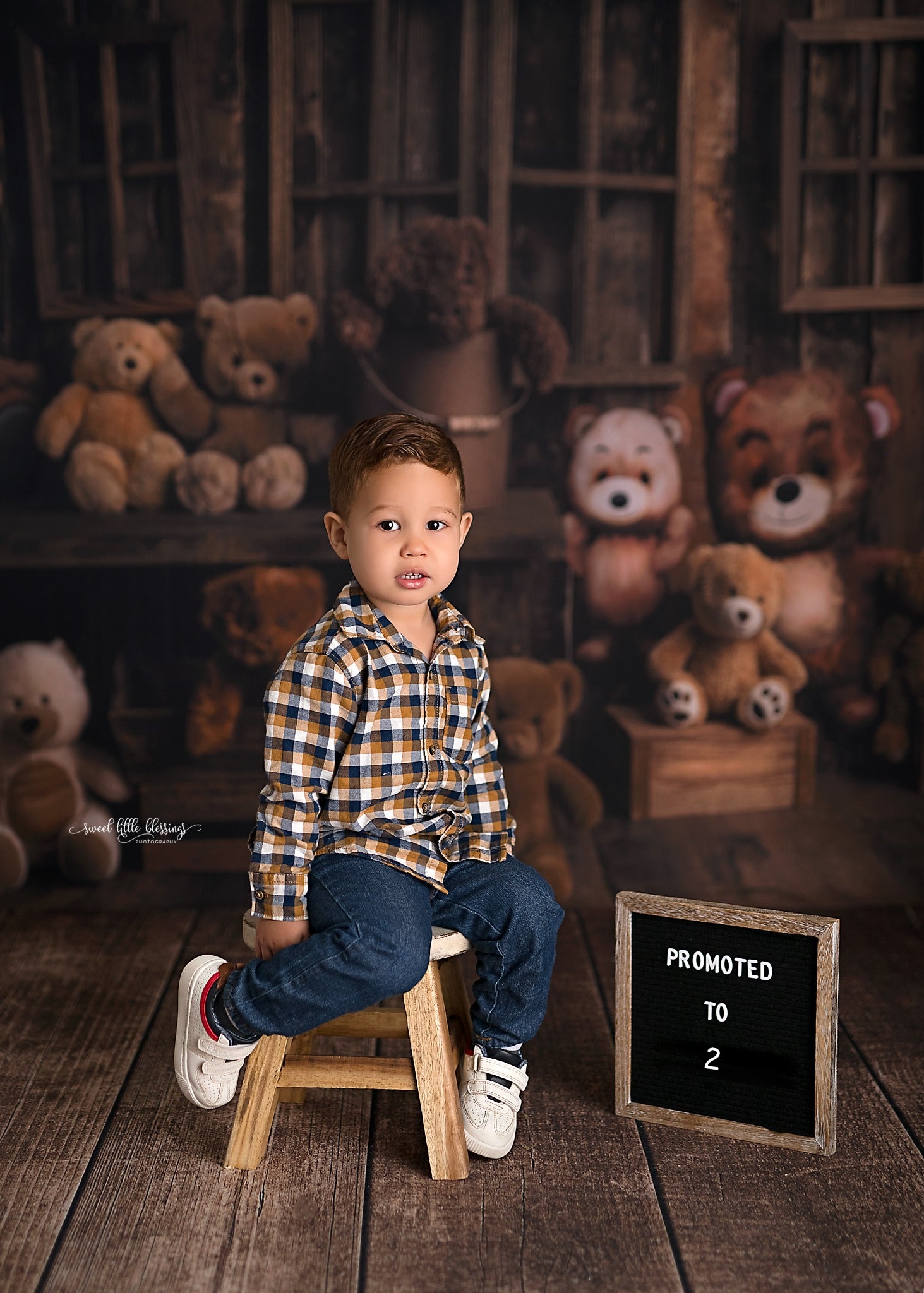 Teddy Bear Fun