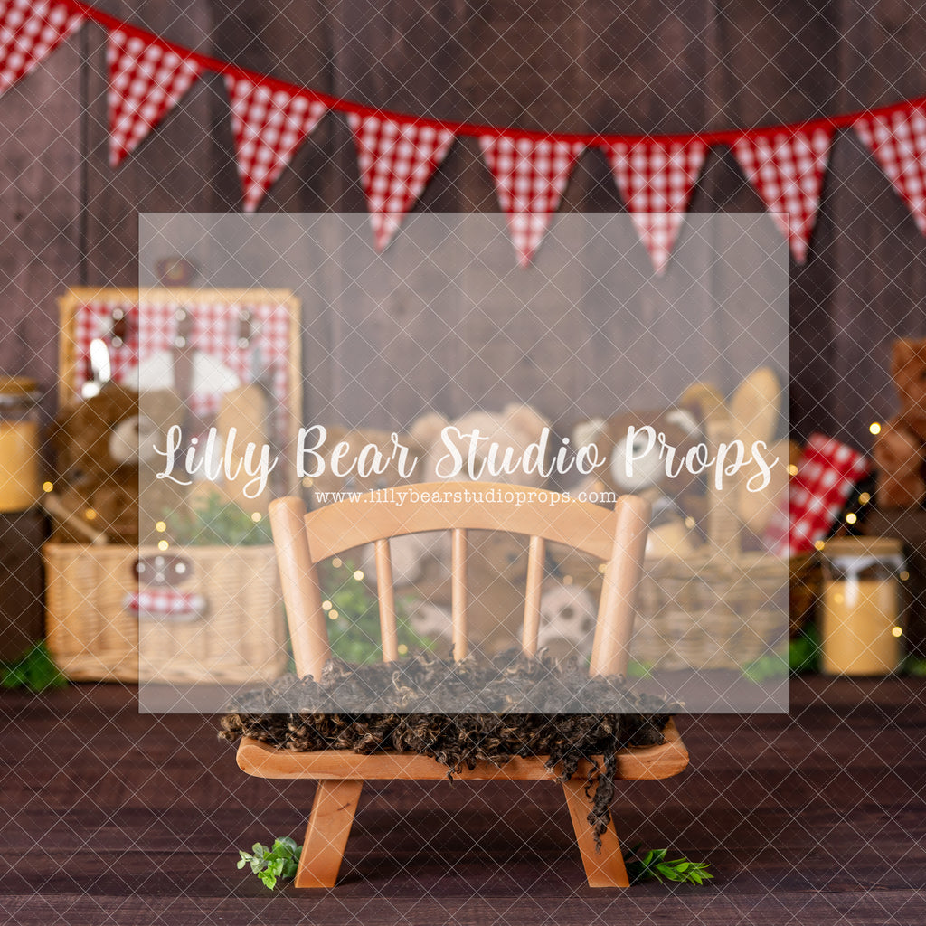 Teddy Bear Picnic - Digital Backdrop - Lilly Bear Studio Props, digital, digital backdrop, wild one