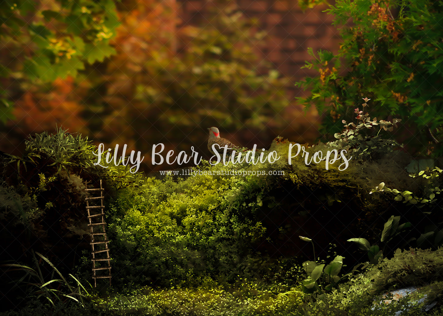 The Hollow Autumn - Lilly Bear Studio Props, bird, daffodils, daisy, dried floral, FABRICS, fairies, fairy garden, fence, forest, forest entry, garden, garden entry, grass, grass garden, honey flower, ladder, rock garden, rustic door, rustic fence, spring, spring floral, spring garden, springtime