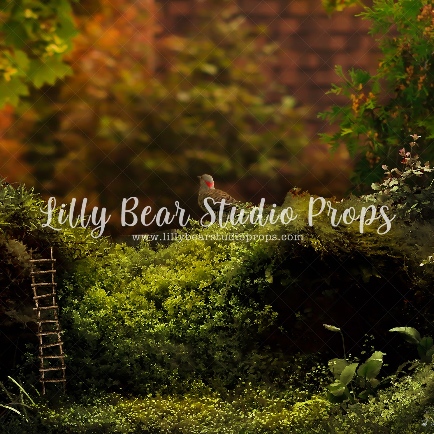 The Hollow Autumn - Lilly Bear Studio Props, bird, daffodils, daisy, dried floral, FABRICS, fairies, fairy garden, fence, forest, forest entry, garden, garden entry, grass, grass garden, honey flower, ladder, rock garden, rustic door, rustic fence, spring, spring floral, spring garden, springtime