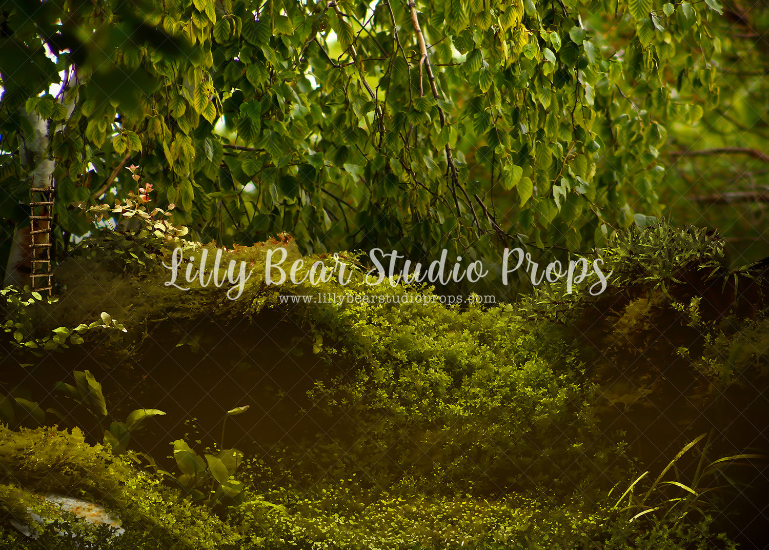 The Hollow Forest - Lilly Bear Studio Props, bird, daffodils, daisy, dried floral, FABRICS, fairies, fairy garden, fence, forest, forest entry, garden, garden entry, grass, grass garden, honey flower, ladder, rock garden, rustic door, rustic fence, spring, spring floral, spring garden, springtime, yellow daisies