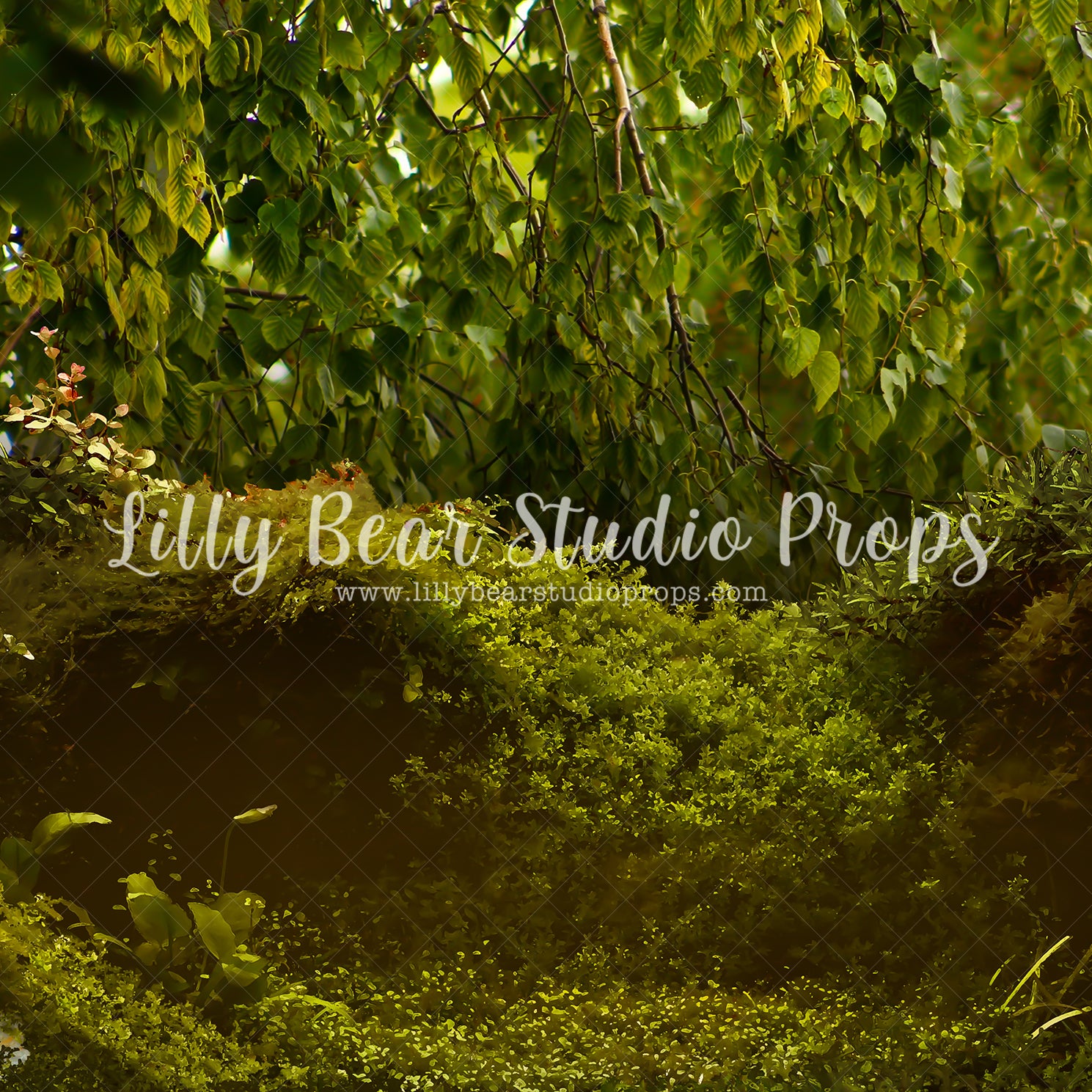 The Hollow Forest - Lilly Bear Studio Props, bird, daffodils, daisy, dried floral, FABRICS, fairies, fairy garden, fence, forest, forest entry, garden, garden entry, grass, grass garden, honey flower, ladder, rock garden, rustic door, rustic fence, spring, spring floral, spring garden, springtime, yellow daisies