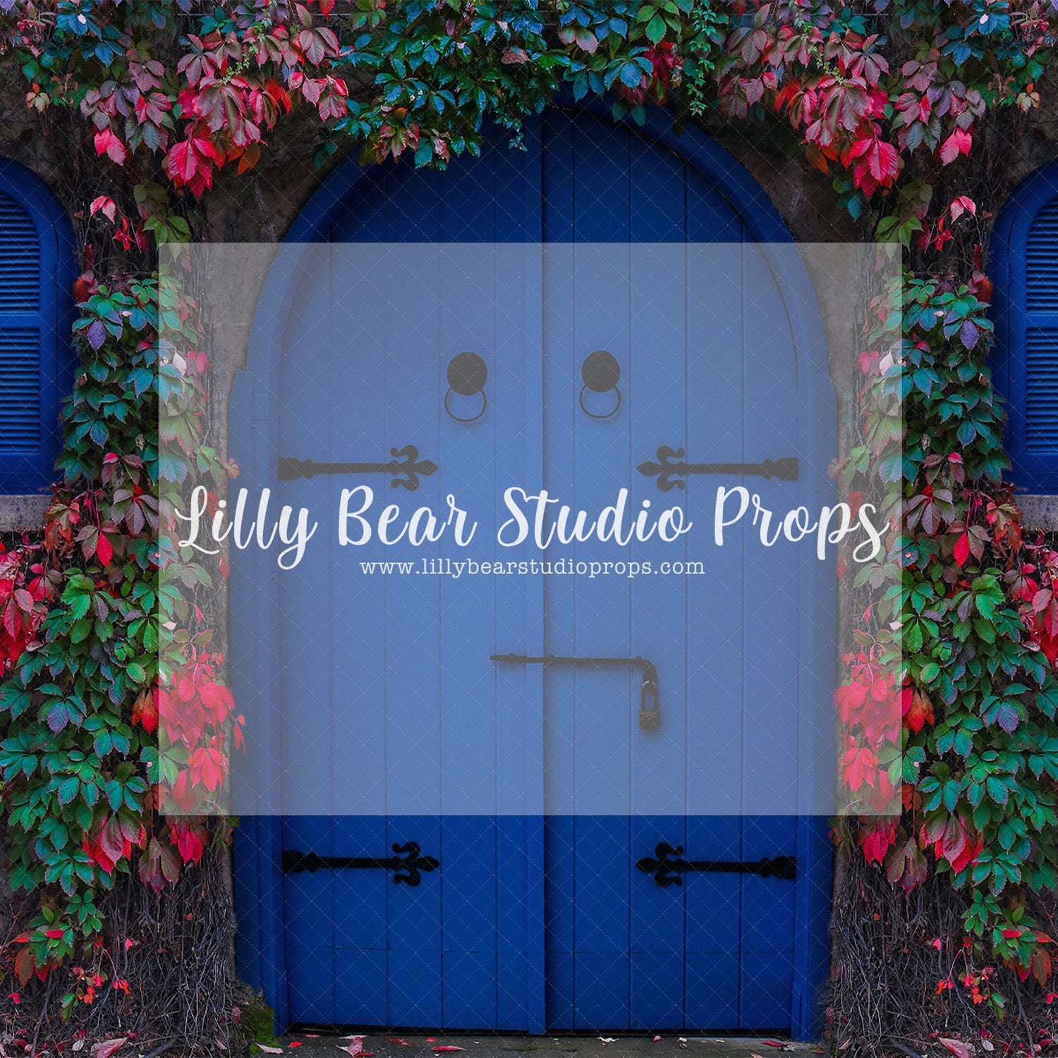The Ivy Door - Lilly Bear Studio Props, blue door, green ivy, ireland, ivy, ivy door, red and green ivy, red ivy, spring, spring door, spring doors, vines, vining ivy