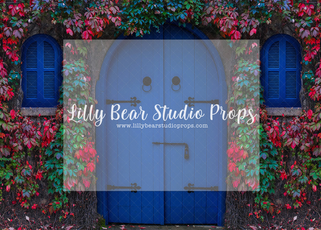 The Ivy Door - Lilly Bear Studio Props, blue door, green ivy, ireland, ivy, ivy door, red and green ivy, red ivy, spring, spring door, spring doors, vines, vining ivy