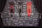 The Major Houses - Lilly Bear Studio Props, candles, castle, cobblestone, curtains, dragon, dragon eggs, FABRICS, fur, game of thrones, GOT, iron throne, lannister, stark, sword throne, swords, targaryan, throne, weirwood tree