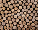 Timberwood by Lilly Bear Studio Props sold by Lilly Bear Studio Props, logs - spring - timberwood - wood