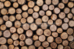 Timberwood by Lilly Bear Studio Props sold by Lilly Bear Studio Props, logs - spring - timberwood - wood