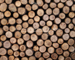 Timberwood by Lilly Bear Studio Props sold by Lilly Bear Studio Props, logs - spring - timberwood - wood