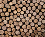 Timberwood by Lilly Bear Studio Props sold by Lilly Bear Studio Props, logs - spring - timberwood - wood