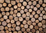 Timberwood by Lilly Bear Studio Props sold by Lilly Bear Studio Props, logs - spring - timberwood - wood