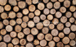 Timberwood by Lilly Bear Studio Props sold by Lilly Bear Studio Props, logs - spring - timberwood - wood