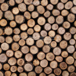 Timberwood by Lilly Bear Studio Props sold by Lilly Bear Studio Props, logs - spring - timberwood - wood
