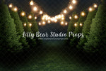 Tree Farm - Lilly Bear Studio Props, christmas, christmas snow, christmas tree, christmas trees, evergreen, evergreen trees, farm, pine tree, snow, snow flakes, tree, tree farm, trees, winter snow