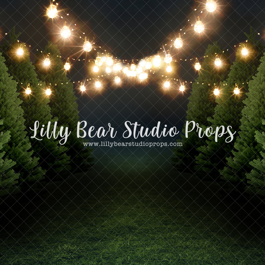 Tree Farm - Lilly Bear Studio Props, christmas, christmas snow, christmas tree, christmas trees, evergreen, evergreen trees, farm, pine tree, snow, snow flakes, tree, tree farm, trees, winter snow