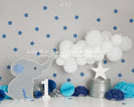 Trunks Up by Sweet Memories Photos By Carolyn sold by Lilly Bear Studio Props, balloon garland - birthday - boy - cake