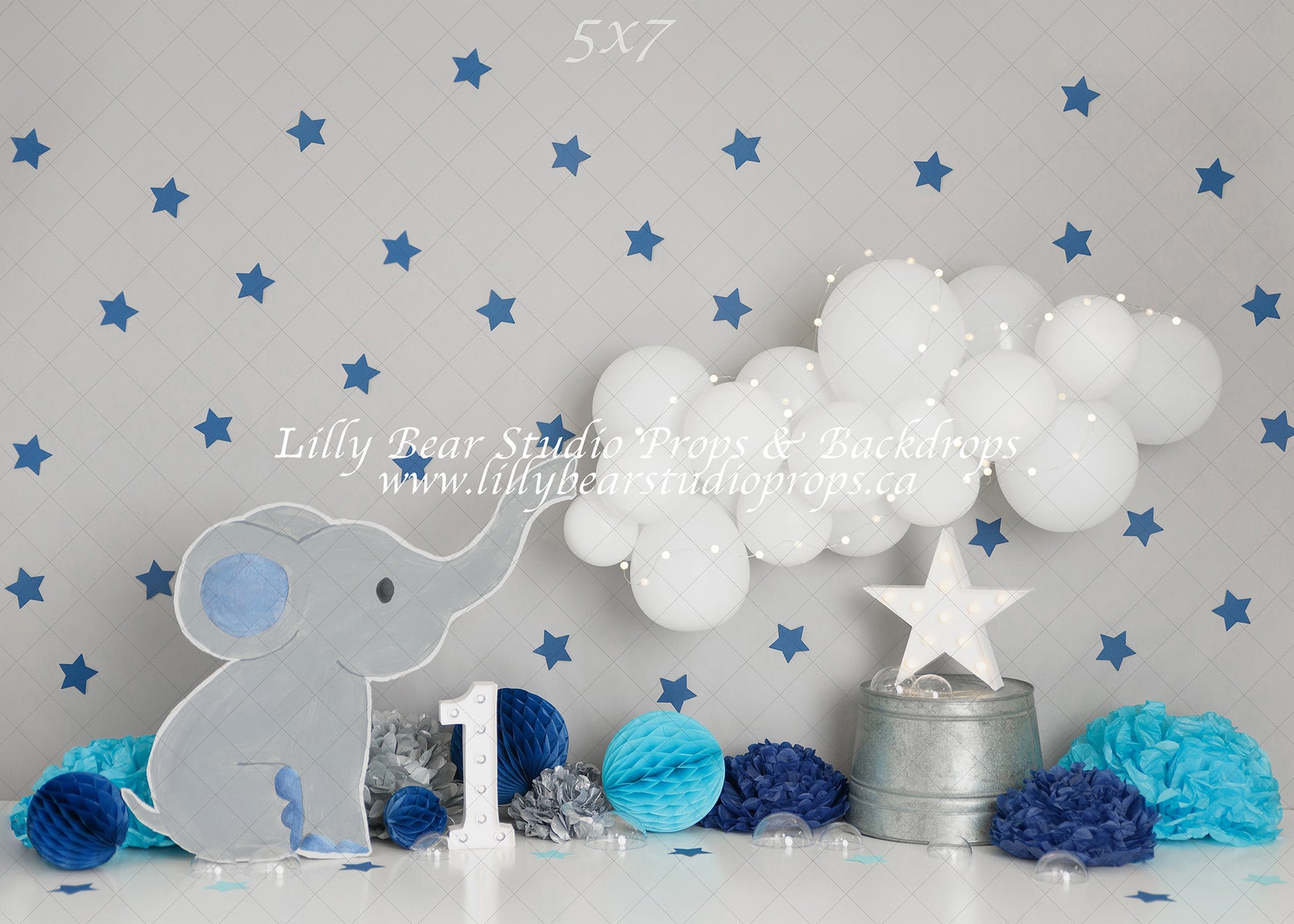 Trunks Up by Sweet Memories Photos By Carolyn sold by Lilly Bear Studio Props, balloon garland - birthday - boy - cake