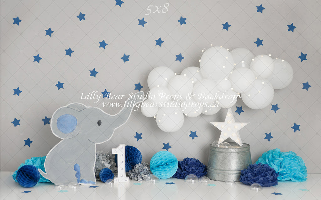 Trunks Up by Sweet Memories Photos By Carolyn sold by Lilly Bear Studio Props, balloon garland - birthday - boy - cake