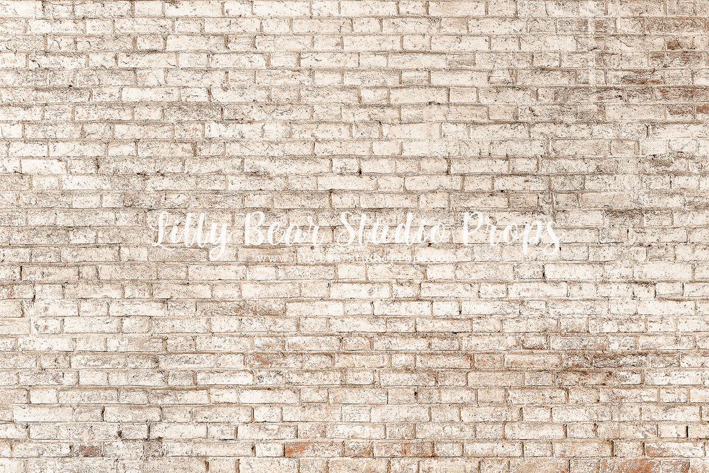 Tucson Brick by Lilly Bear Studio Props sold by Lilly Bear Studio Props, backdrop - beige - beige brick - beige texture