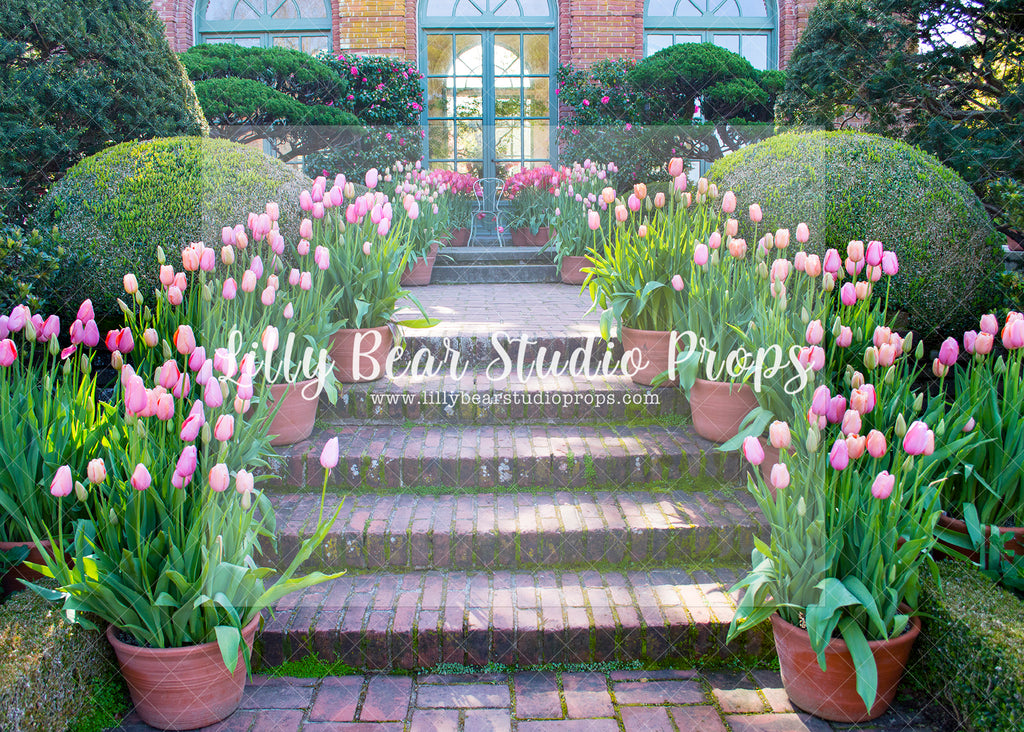 Tulips Steps - Lilly Bear Studio Props, center park, Fabric, FABRICS, flower spring, garden, garden path, garden steps, garden walkway, london, paris, parisian, park, pink tulips, spring, steps, tulip, Wrinkle Free Fabric