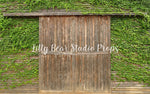 Vine Doors - Lilly Bear Studio Props, barn doors, barndoors, brick, Brick Wall, courtyard, cracked brick, cracked brick wall, distressed brick, door, door wall, doors, doorway, exposed brick, FABRICS, garden, garden entry, grunge brick, hanging vines, leaves, rustic, rustic door, rustic doors, rustic wood, spring, spring archway, spring scandinavian, springtime, terrace, topiary trees, tree, vines, wall vines, wood doors
