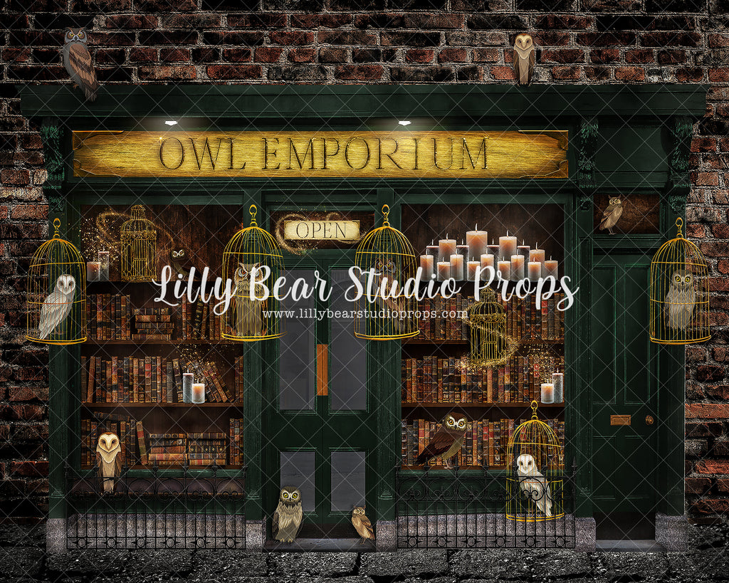 Wizards Owl Emporium by Brittany Ebany & Co. sold by Lilly Bear Studio Props, bird cage - books - bookshelf - candles