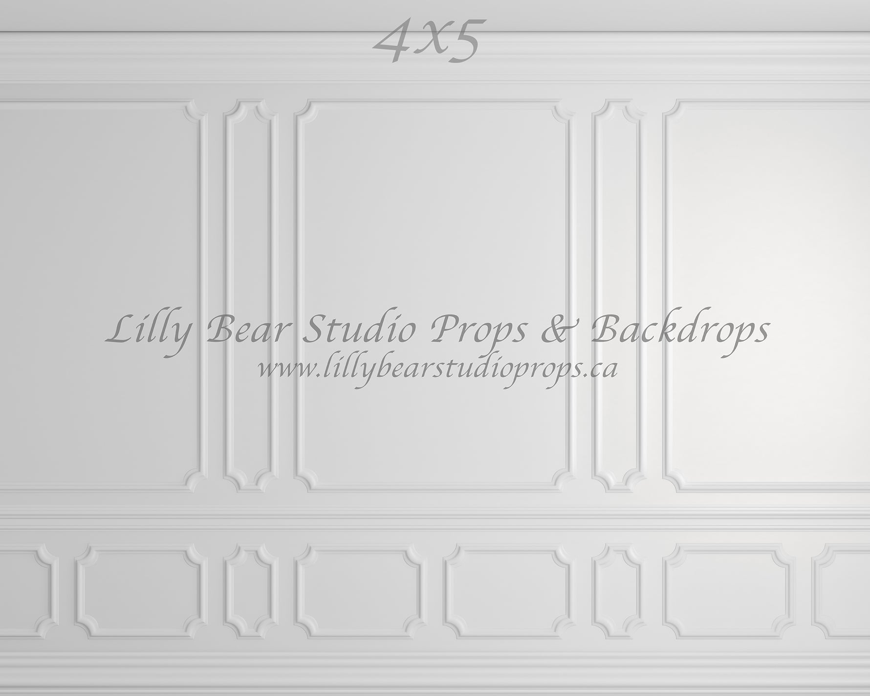 Wainscott Wall by Lilly Bear Studio Props sold by Lilly Bear Studio Props, elegant wall - FLOORS - molding - wainscotin
