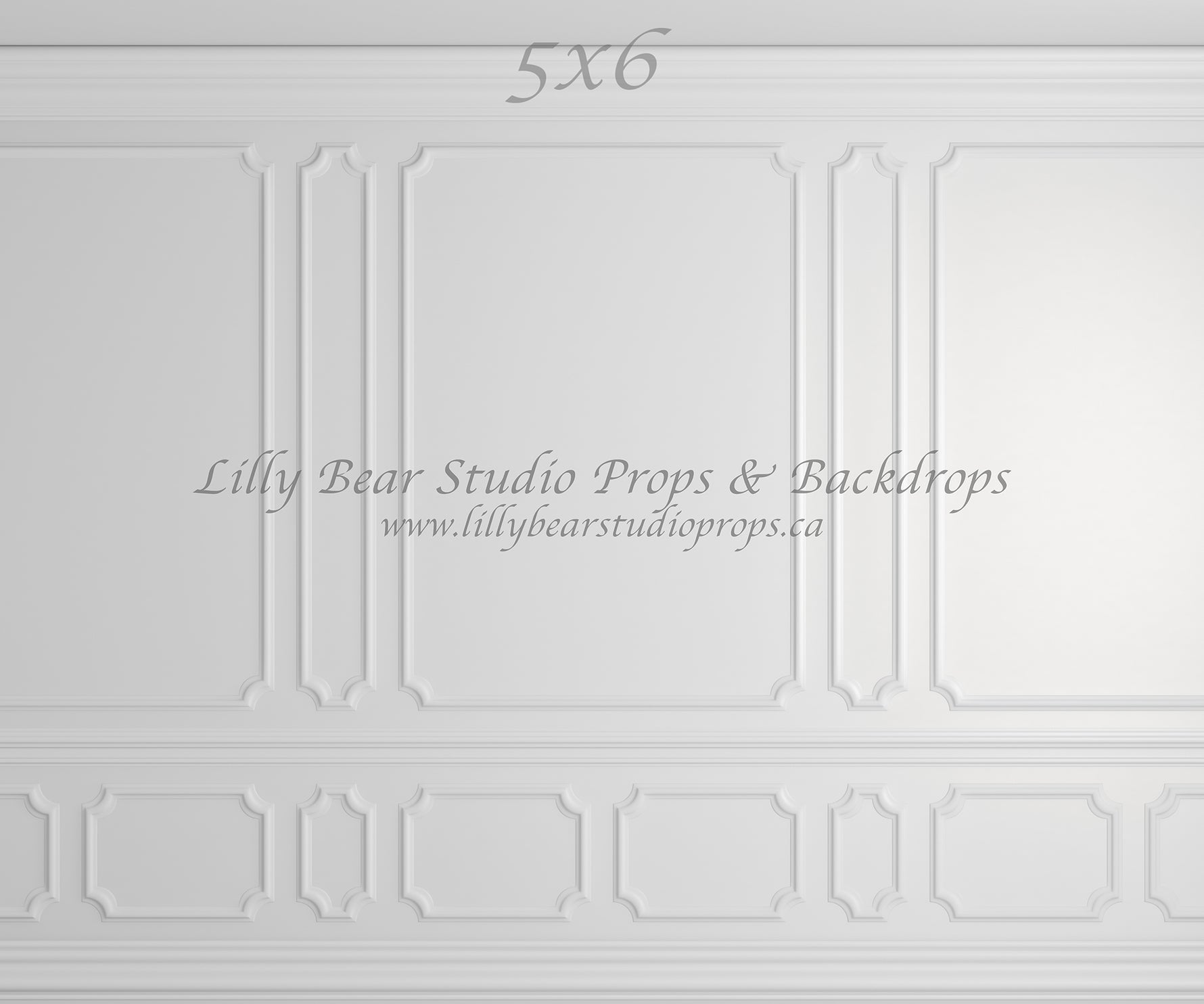 Wainscott Wall by Lilly Bear Studio Props sold by Lilly Bear Studio Props, elegant wall - FLOORS - molding - wainscotin