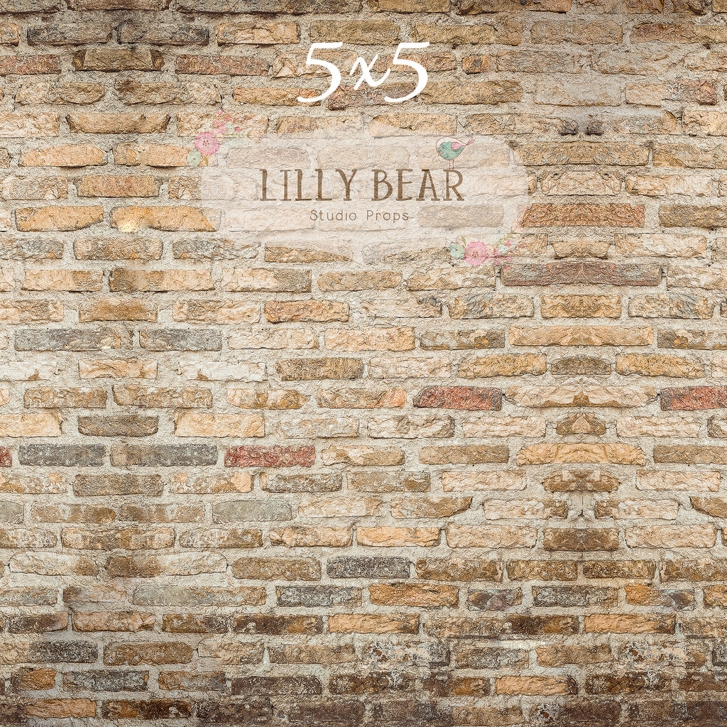 Warm Brick Wall by Lilly Bear Studio Props sold by Lilly Bear Studio Props, brick - wall - warm - warm brick