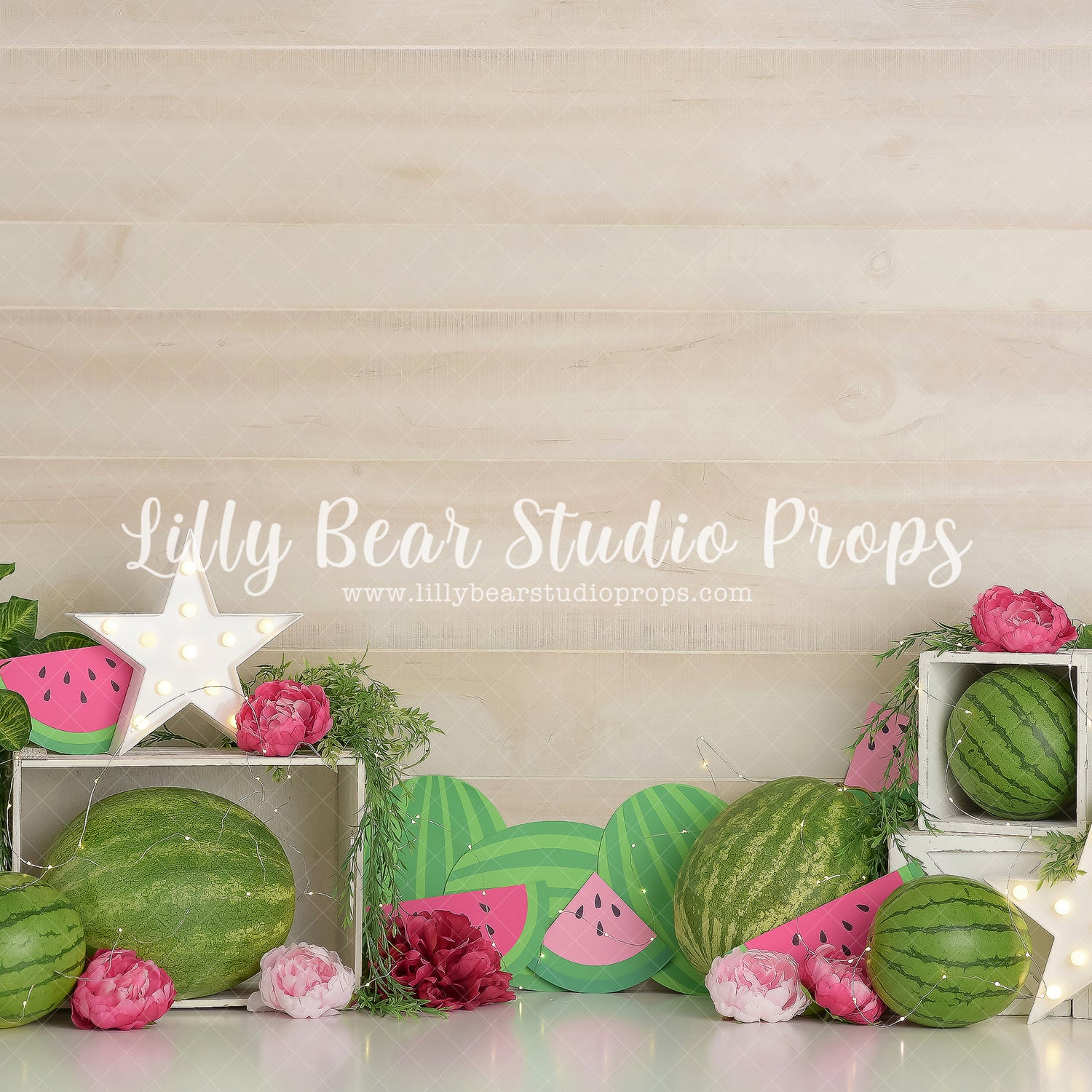 Watermelon Frenzy by Sweet Memories Photos By Carolyn sold by Lilly Bear Studio Props, birthday - cake smash - FABRICS