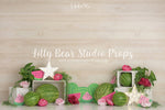 Watermelon Frenzy by Sweet Memories Photos By Carolyn sold by Lilly Bear Studio Props, birthday - cake smash - FABRICS