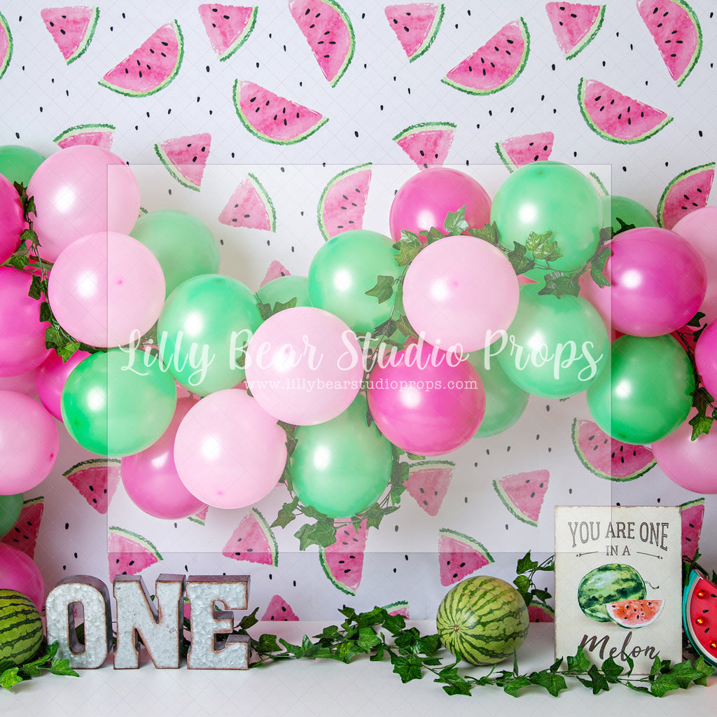 Watermelon fun by Celebrate Photography - Lilly Bear Studio Props, One in a Melon, pink and green balloons, watermelon farm, watermelon garland, watermelon pink and green, watermelon seeds, watermelon slices, watermelon stand, watermelon stripes, watermelon sugar high, watermelons, you are one lil melon
