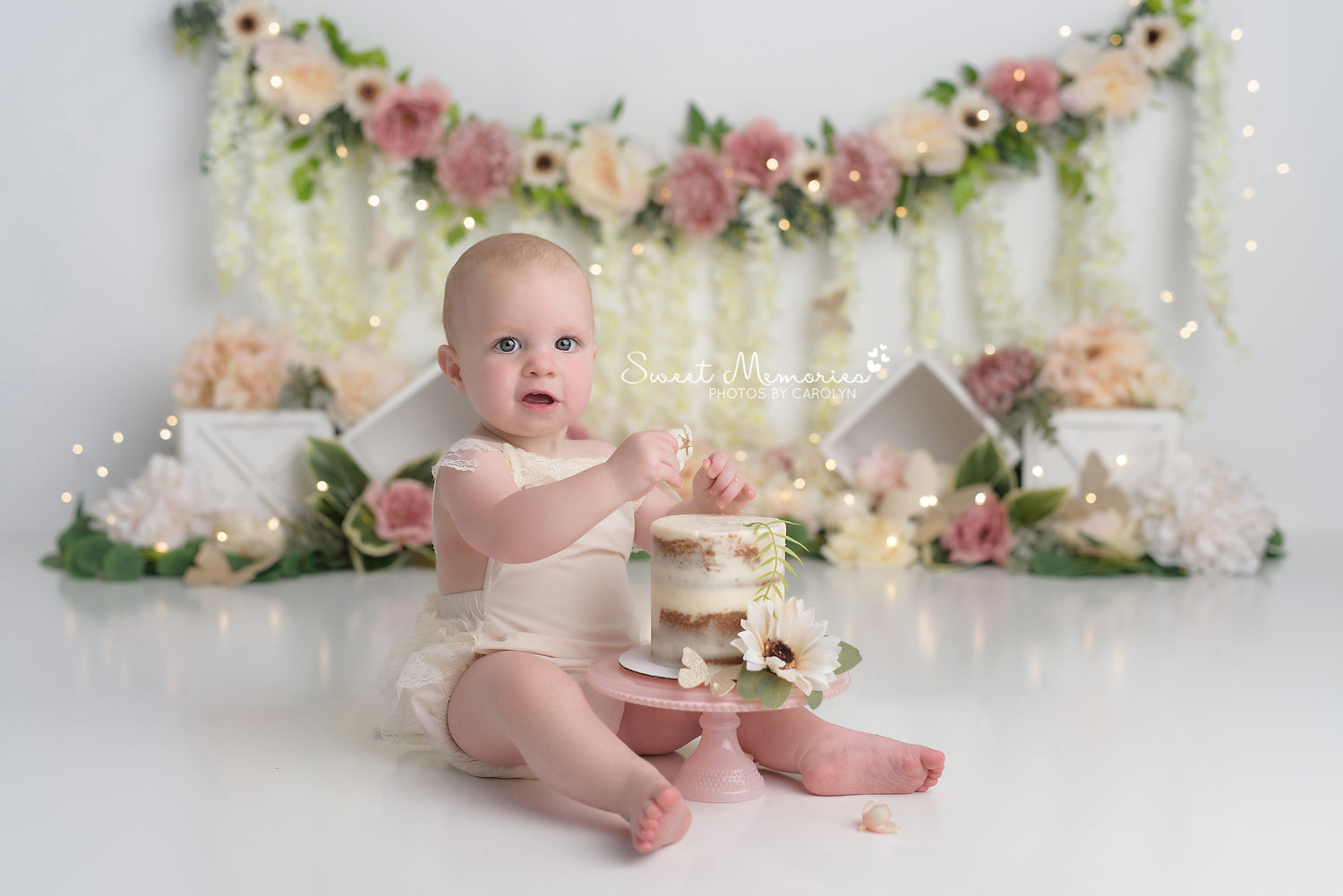 Wisteria Butterfly by Sweet Memories Photos By Carolyn sold by Lilly Bear Studio Props, birthday - butterflies - butter