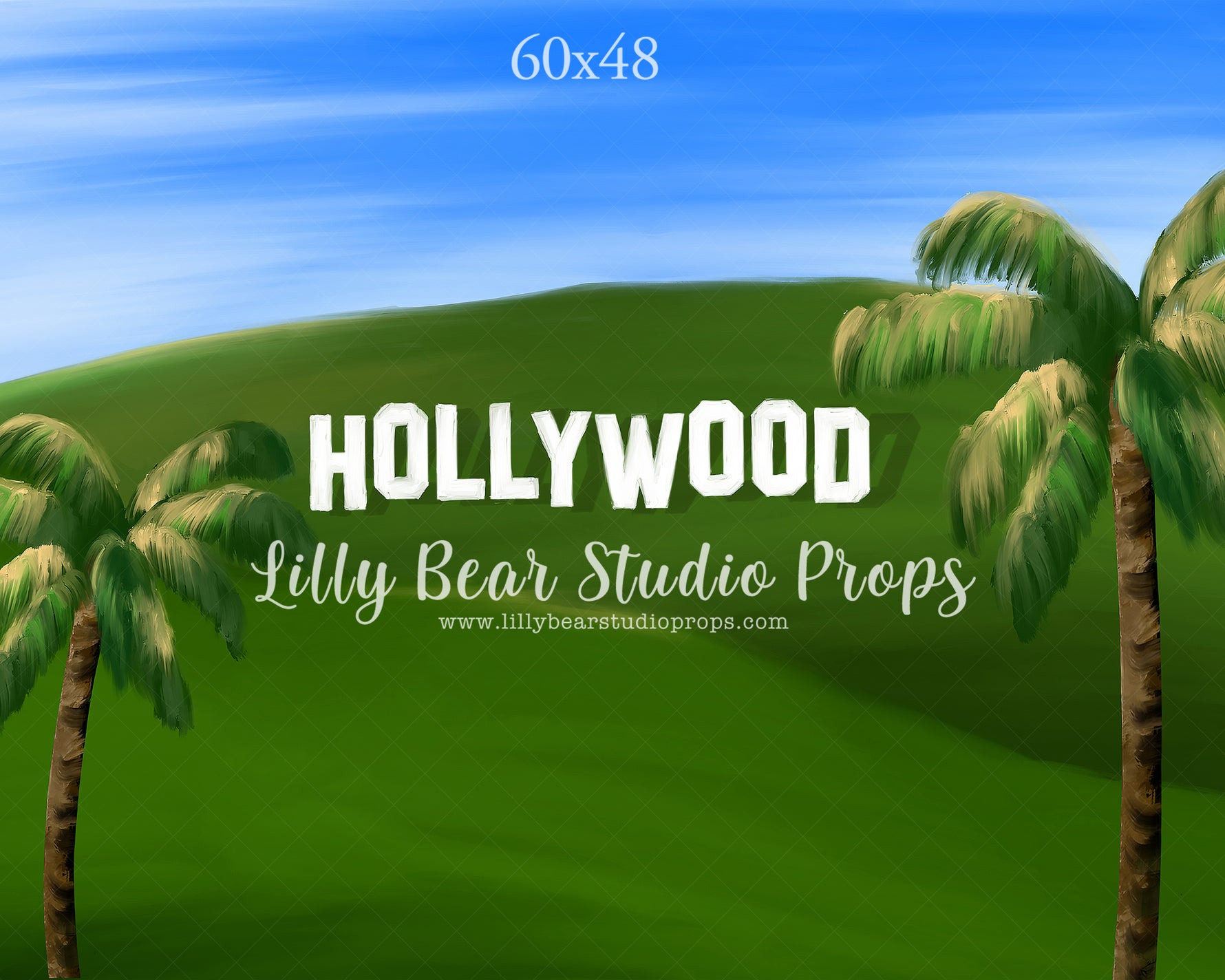 Welcome To Hollywood by Jessica Ruth Photography sold by Lilly Bear Studio Props, autumn - boys - cake smash - fabric