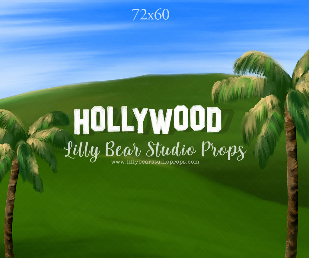 Welcome To Hollywood by Jessica Ruth Photography sold by Lilly Bear Studio Props, autumn - boys - cake smash - fabric